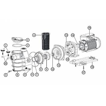 Pompe piscine Max-Flo® 0.75 CV Tri Hayward - 11 m³/h 2