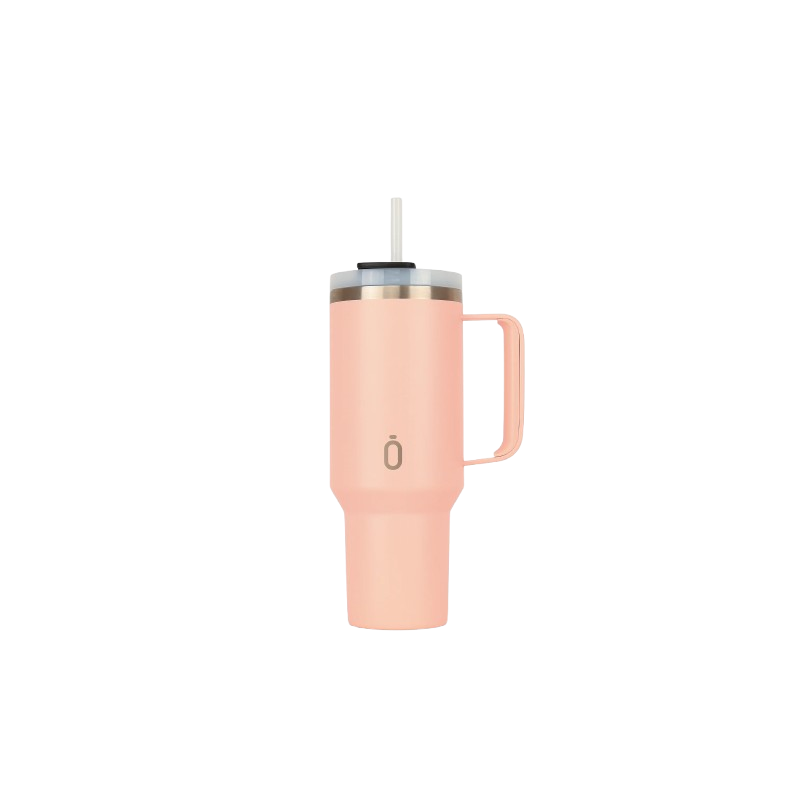 Gourde avec paille Latt-Coton Candy-1100ml