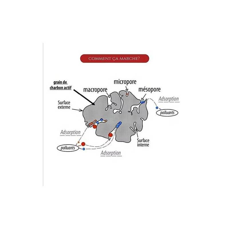 Lot de 2 filtres à gourde nomade charbon végétal