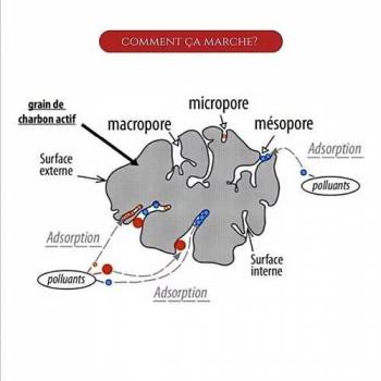Lot de 2 filtres à gourde nomade charbon végétal