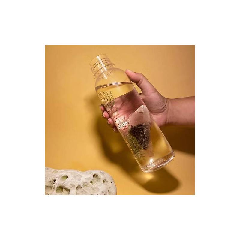 Lot de 2 filtres à gourde nomade charbon végétal