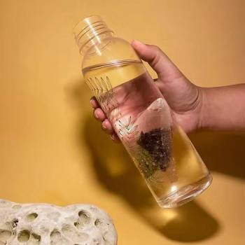 Lot de 2 filtres à gourde nomade charbon végétal