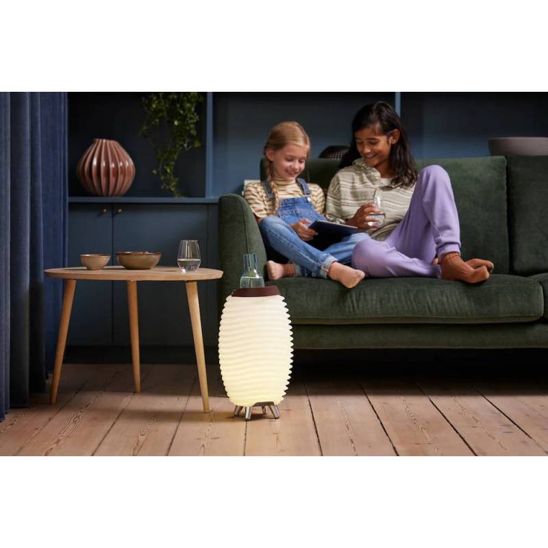 Lampe 3 en 1 enceinte-glacière Synergy 35