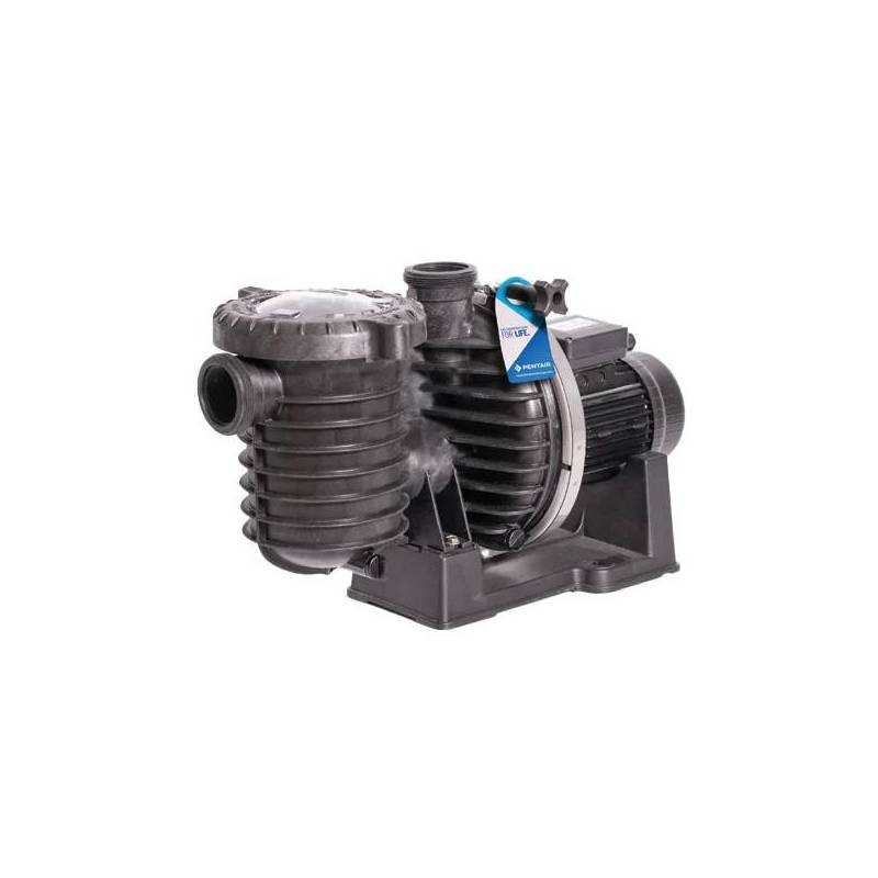 Pompe de filtration Sta-Rite monophasée 12m3/h