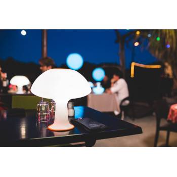 Lampe nomade de jardin