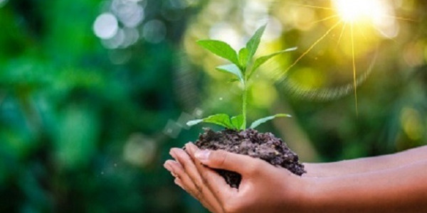 Eau de pluie : récupération, filtration, utilisation… 