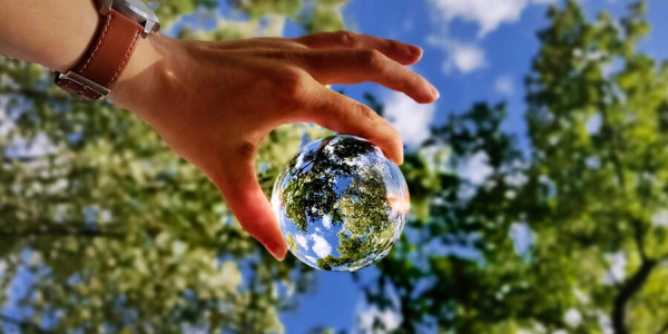 Comment Amavéo agit pour la planète ?