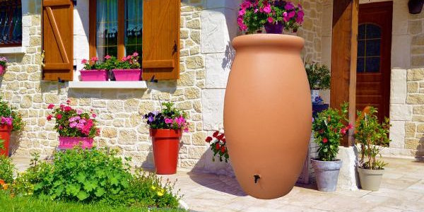 Récupérer les eaux de pluie : une démarche écologique !