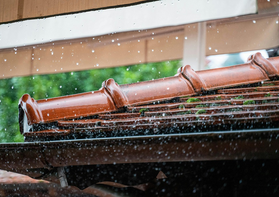 La récupération des eaux de pluie : une solution écologique et économique